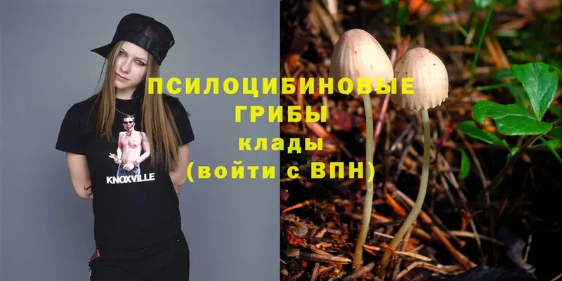 даркнет сайт  Тутаев  Псилоцибиновые грибы Magic Shrooms 